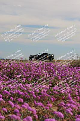 media/Jan-08-2023-SCCA SD (Sun) [[8f6a5b9391]]/Intermediate Group/Session 2 (Short Straight)/